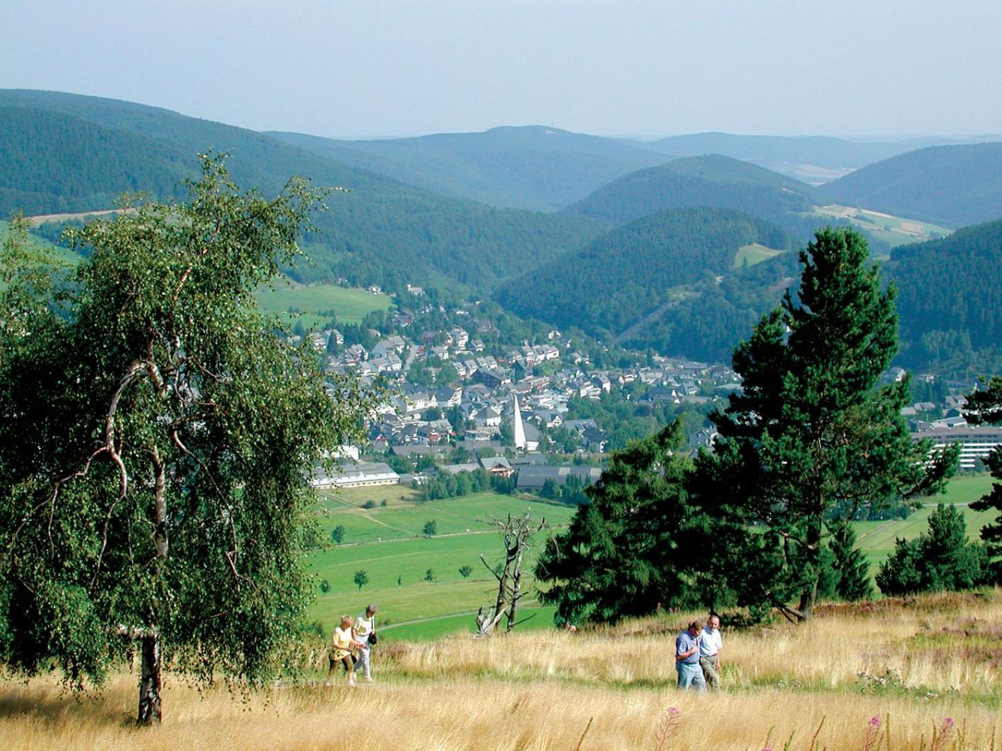 Apartmán Friends & Family Domizil Willingen Willingen  Exteriér fotografie