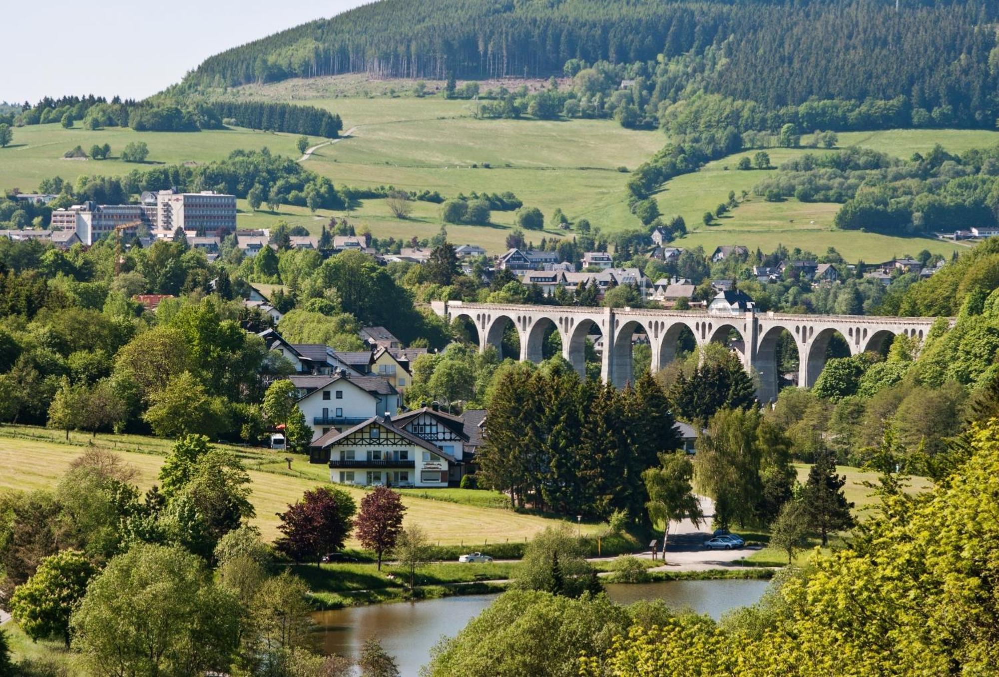 Apartmán Friends & Family Domizil Willingen Willingen  Exteriér fotografie